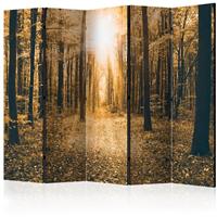 ARTGEIST 5teiliges Paravent Magical Light II cm 225x172 - 