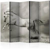 ARTGEIST 5teiliges Paravent Wild Stallion II cm 225x172 - 