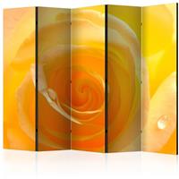 ARTGEIST 5teiliges Paravent Yellow rose II R cm 225x172 - 