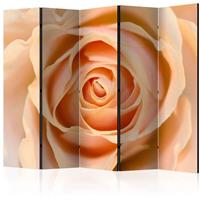 ARTGEIST 5teiliges Paravent Peachcolored ros cm 225x172 