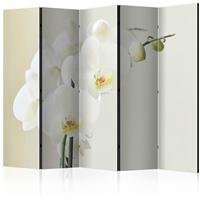 ARTGEIST 5teiliges Paravent White orchid II cm 225x172 - 