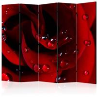 ARTGEIST 5teiliges Paravent Red rose with wat cm 225x172 - 