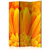 ARTGEIST 3teiliges Paravent Yellow gerbera da cm 135x172 - 