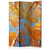 ARTGEIST 3teiliges Paravent Autumnal treetops cm 135x172 