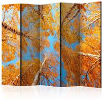 ARTGEIST 5teiliges Paravent Autumnal treetops cm 225x172 - 