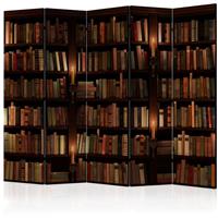 ARTGEIST 5teiliges Paravent Bookshelves II R cm 225x172 - 
