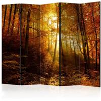 ARTGEIST 5teiliges Paravent Autumn Illuminati cm 225x172 - 