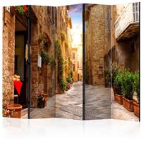 ARTGEIST 5teiliges Paravent Colourful Street cm 225x172 - 