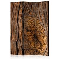 ARTGEIST 3teiliges Paravent Old Tree Room Di cm 135x172 - 