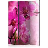 ARTGEIST 3teiliges Paravent Pink Orchid Room cm 135x172 - 