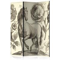 ARTGEIST 3teiliges Paravent Horse Room Divid cm 135x172 - 