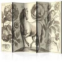 ARTGEIST 5teiliges Paravent Horse II Room Di cm 225x172 - 