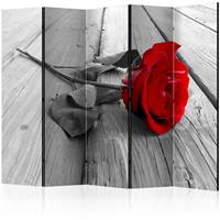 ARTGEIST 5teiliges Paravent Abandoned Rose II cm 225x172 - 