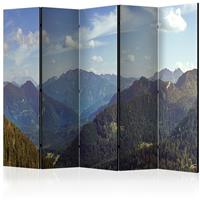 ARTGEIST 5teiliges Paravent Mountainsâ€™ Magi cm 225x172 - 