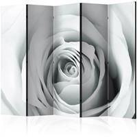 ARTGEIST 5teiliges Paravent Rose charade II cm 225x172 - 