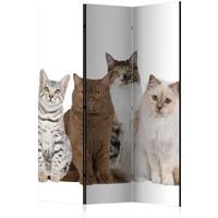 ARTGEIST 3teiliges Paravent Sweet Cats Room cm 135x172 - 