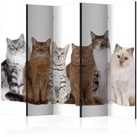 ARTGEIST 5teiliges Paravent Sweet Cats II Ro cm 225x172 - 