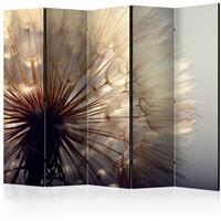 ARTGEIST 5teiliges Paravent Dandelion Kiss II cm 225x172 