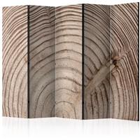 ARTGEIST 5teiliges Paravent Wood grain II Ro cm 225x172 - 