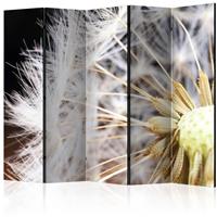 ARTGEIST 5teiliges Paravent Fluffy dandelion cm 225x172 - 