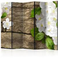 ARTGEIST 5teiliges Paravent Raw beauty II Ro cm 225x172 - 