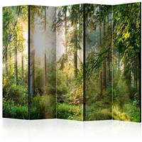 ARTGEIST 5teiliges Paravent Untamed Nature II cm 225x172 - 