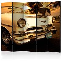 ARTGEIST 5teiliges Paravent Viva Havana II cm 225x172 - 