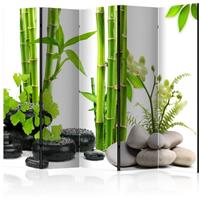 ARTGEIST 5teiliges Paravent Bamboos and Stone cm 225x172 - 