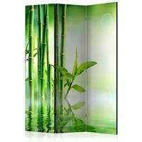 ARTGEIST 3teiliges Paravent Green Bamboo Roo cm 135x172 - 