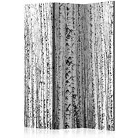 ARTGEIST 3teiliges Paravent Birch forest Roo cm 135x172 - 