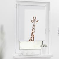 LICHTBLICK Rolgordijn met zijbediening Rolgordijn Klemmfix, zonder boren, ondoorzichtig, giraf - bruin (1 stuk)