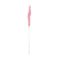 Xenos Pampas - oud roze - 115 cm