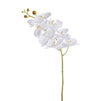 Dekoria Kunstbloem Orchidee White