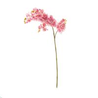 Dekoria Kunstbloem Orchidee Pink