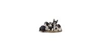 Clayre & Eef Decoratie Beeld Honden 33*12*17 cm Zwart, Wit Kunststof Decoratief Figuur Decoratieve Accessoires