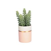 Kave Home Kunstplant Sedum lucidum in roze keramische pot