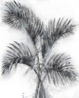Decorationable | Dekoratives Wandobjekt Palm I 80cm x 100cm
