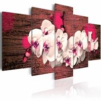 Karo-art Schilderij - Blijdschap en orchidee , roze wit , 5 luik