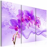 Karo-art Schilderij - Orchidee in violet , 3 luik