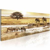 Karo-art Schilderij - Savanne - Afrika, geel/bruin, premium print