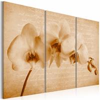 Karo-art Schilderij - orchidee (vintage) , beige , 3 luik