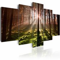 Karo-art Schilderij - Stilte van de Herfst, 5luik , groen bruin , premium print op canvas