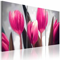 Karo-art Schilderij - Paarse tulpen , 3 luik