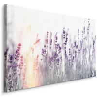 Karo-art Schilderij - Lavendel in zonsondergang , Wanddecoratie , Premium print