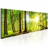 Karo-art Schilderij - Zon door de Bomen - Panorama, groen, premium print op canvas, 1luik