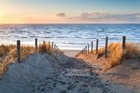 Karo-art Afbeelding op acrylglas - pad naar de Noordzee