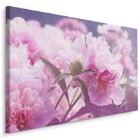 Karo-art Schilderij - Roze Pioenrozen , print op canvas, premium print , Wanddecoratie