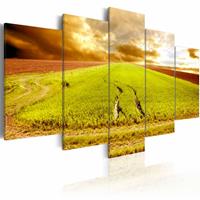 Karo-art Schilderij - Wielsporen op een Veld, 5luik , groen , wanddecoratie , premium print op canvas