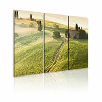 Karo-art Schilderij - Onder de Zon - Toscane, Groen, 3luik , wanddecoratie , premium print op canvas