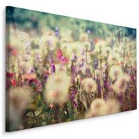 Karo-art Schilderij - Weide bloemen , Wanddecoratie , Premium print